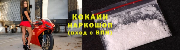 хмурый Алзамай