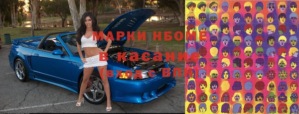 хмурый Алзамай