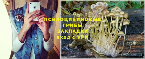 ПСИЛОЦИБИНОВЫЕ ГРИБЫ Алексеевка