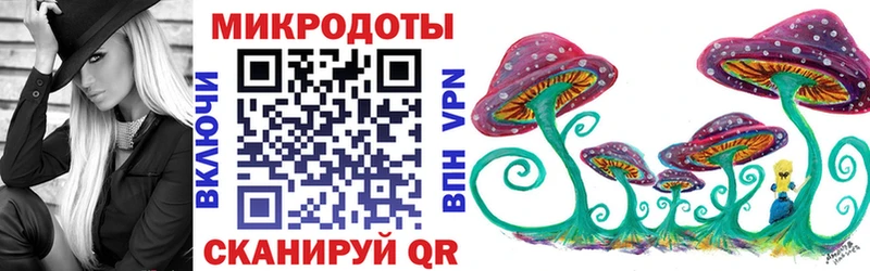 где найти наркотики  Пугачёв  Галлюциногенные грибы Psilocybe 